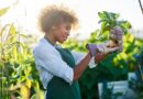 Agricultura sustentavel brasil casos sucesso