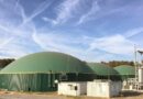 Bioenergia biomassa brasil
