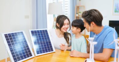 Energia renovavel brasil