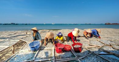 Pesca sustentavel guine equatorial