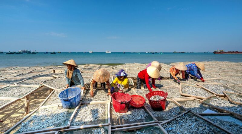Pesca sustentavel guine equatorial