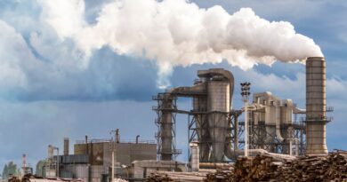 Brazil’s Environmental Solutions Industry