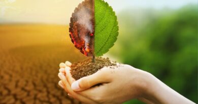 iniciativas ambientais brasil sustentabilidade