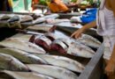 mercados peixe fresco malabo