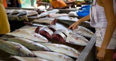 mercados peixe fresco malabo