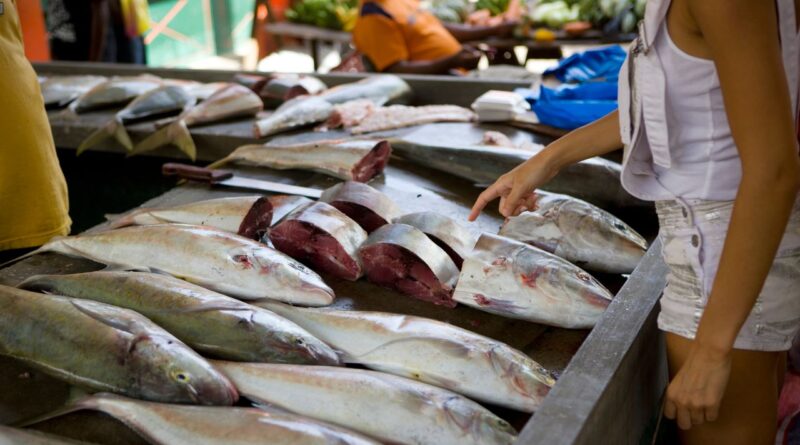 mercados peixe fresco malabo
