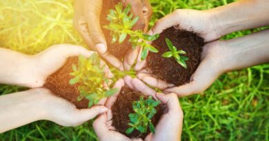 reciclagem no brasil