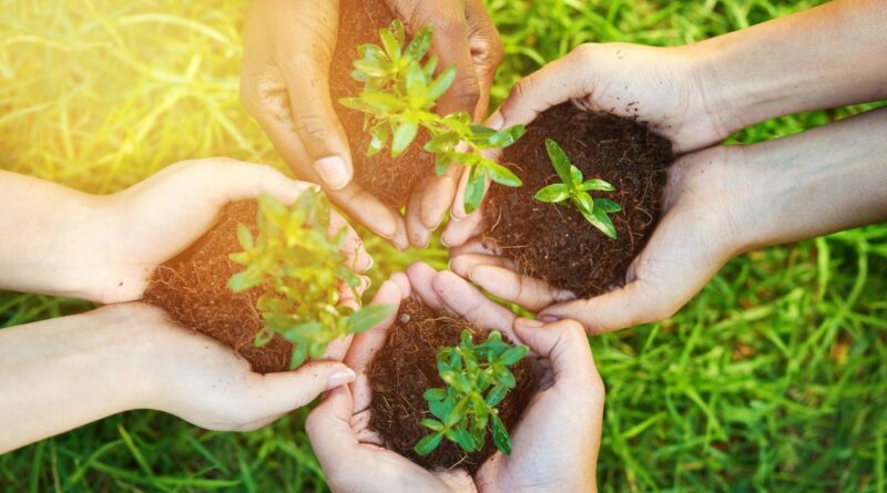 reciclagem no brasil