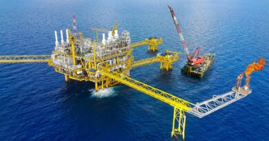 Apoio governo petroleo gas brasil