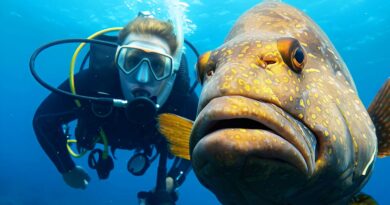 Destinos de pesca subaquática