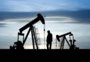 Habilidades para industria de petroleo brasil