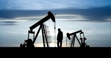 Habilidades para industria de petroleo brasil