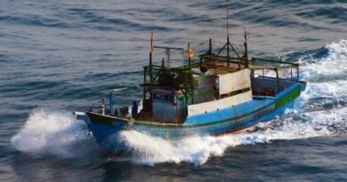 Pesca guine equatorial historias costeiras