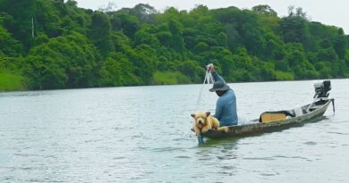 Pesca parques nacionais guine equatorial