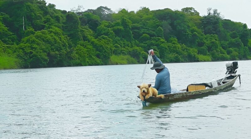 Pesca parques nacionais guine equatorial