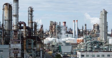 Problemas ambientais petroleo brasil