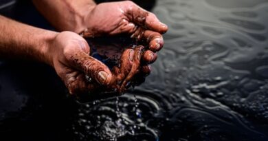 derramamentos de óleo no brasil