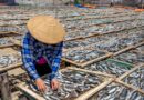 economia pesca Guiné Equatorial