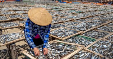 economia pesca Guiné Equatorial