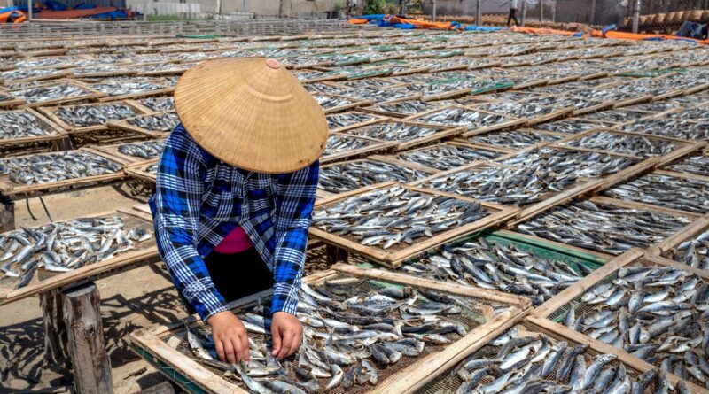economia pesca Guiné Equatorial