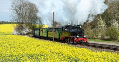 ferrovias históricas de Portugal