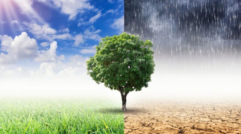 logística sustentável em Portugal