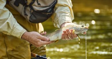 pesca sustentável Guiné Equatorial