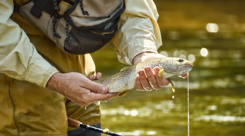 pesca sustentável Guiné Equatorial