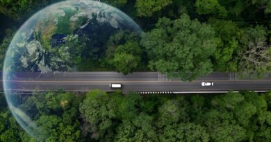 reduzir emissões transportes Portugal