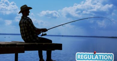 regulamentacoes pesca guine equatorial