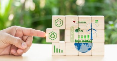 economia verde Brasil