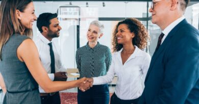 parcerias publico privadas angola