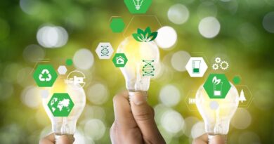 setores em expansão no Brasil