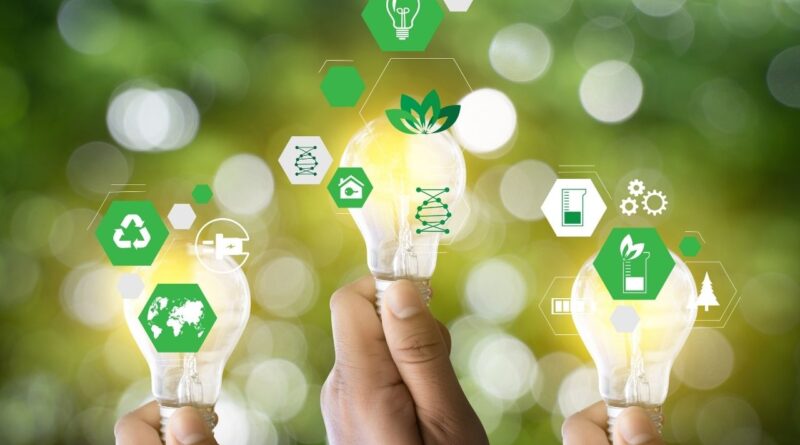 setores em expansão no Brasil