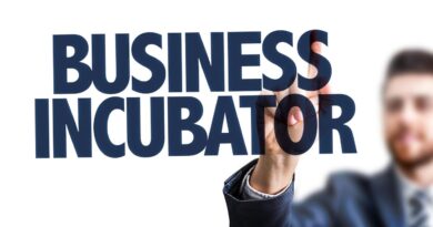 Incubadoras startups africa portuguesa