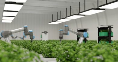 Inovações agrícolas portugal