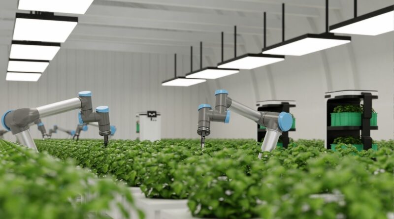 Inovações agrícolas portugal