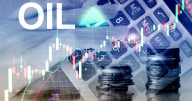 Investimento na africa lusofona pos petroleo