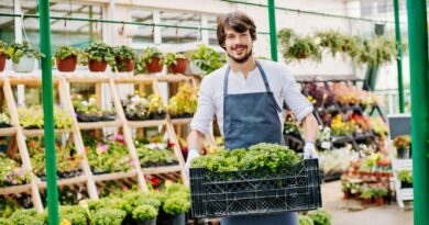 Negócios verdes economias lusófonas