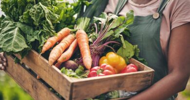 Produtos agro exportadores sao tome