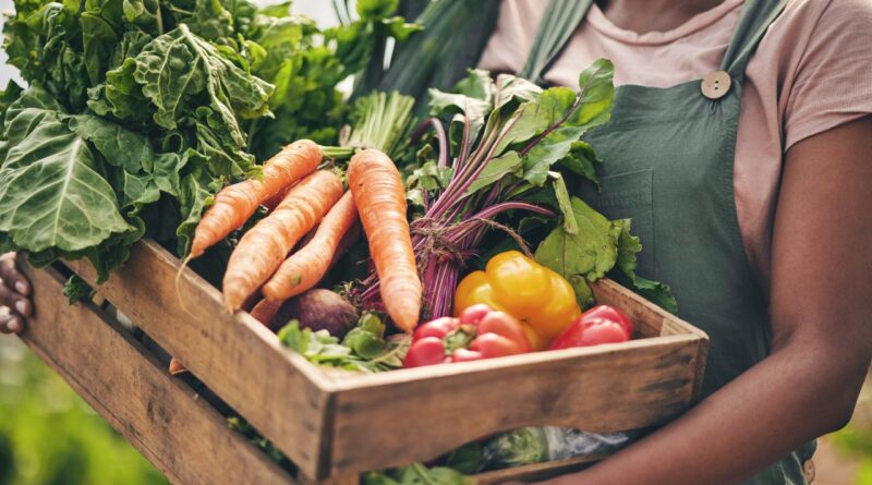 Produtos agro exportadores sao tome