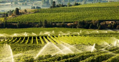 Setores exportacao africa america latina