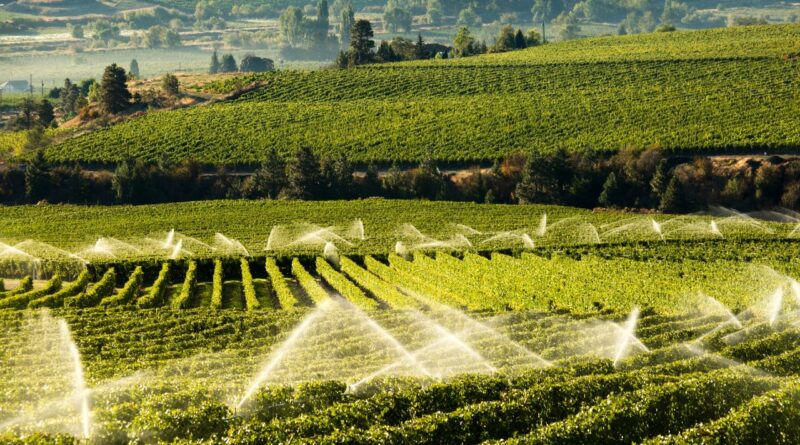 Setores exportacao africa america latina