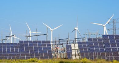 a crescente indústria de energia renovável de Portugal