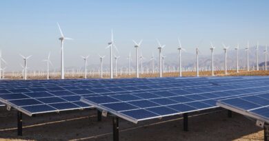 portugal lider energias renovaveis