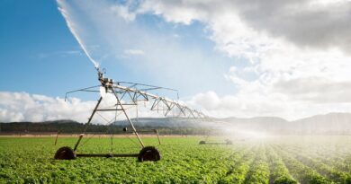 projetos inovadores na agricultura brasileira