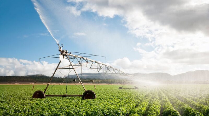 projetos inovadores na agricultura brasileira
