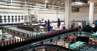 segredos vinho português