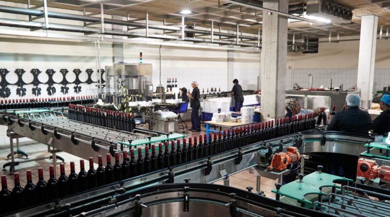 segredos vinho português