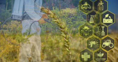 Aplicações ia agronegocio brasil